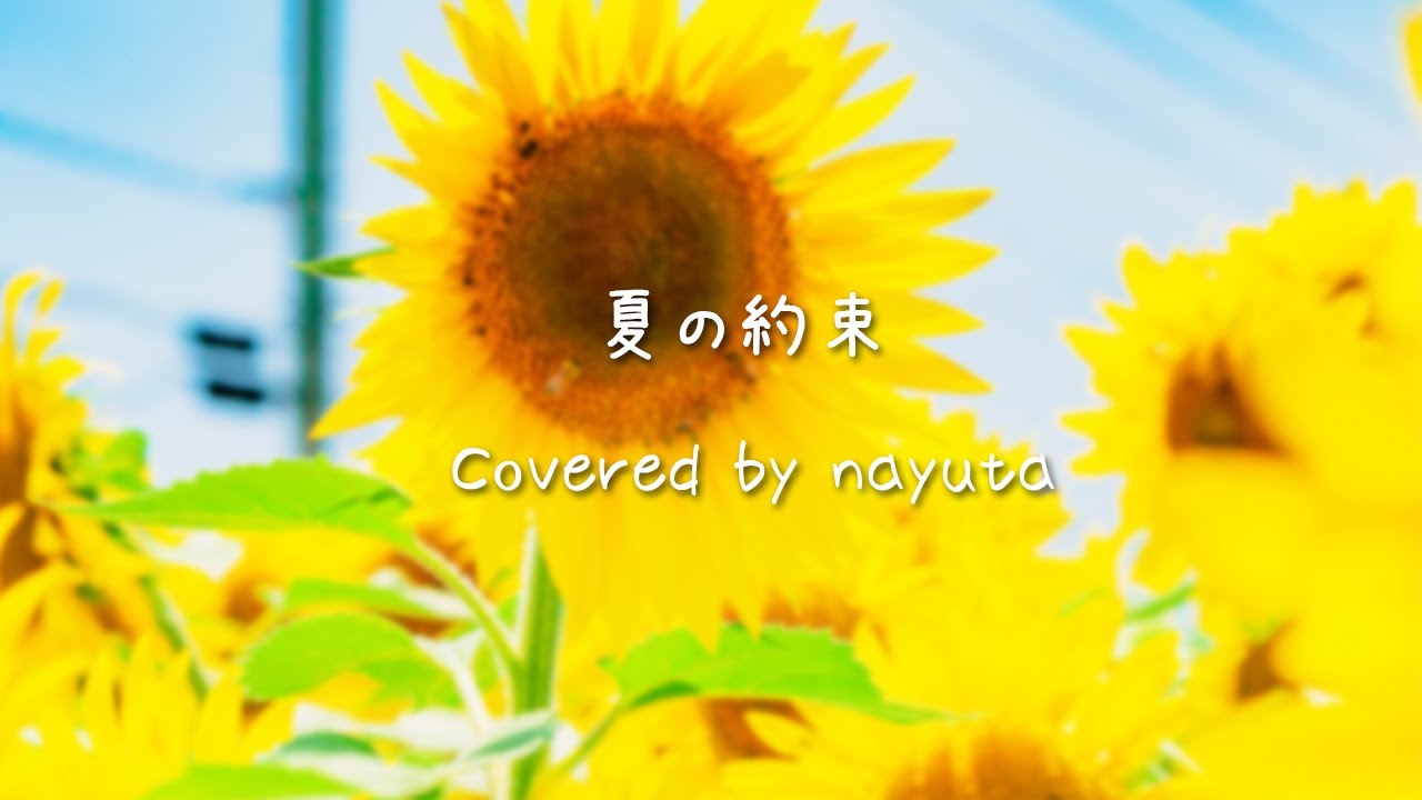 夏の約束 Covered By Nayuta 歌ってみた Youtube