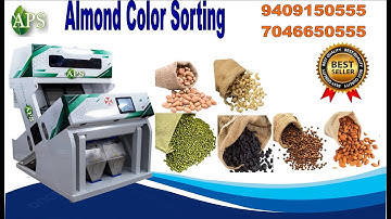 Almond Color Sorter Machine 9409150555