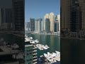 Dubai#BurjKhalifa#BurjalArab#DubaiBeauty#DubaiLove#