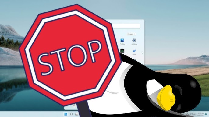 Vulcão, tsunami e agora essa: Easy Anti-Cheat passa a suportar Linux -  Notícias - Diolinux Plus