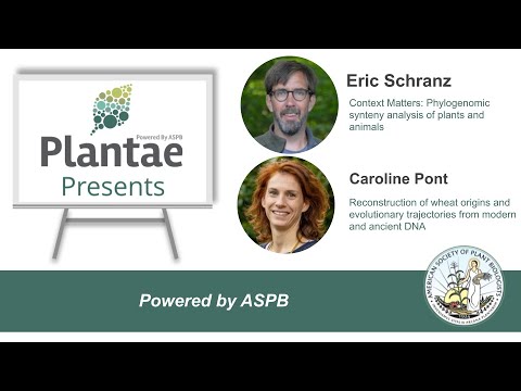 Plantae Presents: Eric Schranz and Caroline Pont