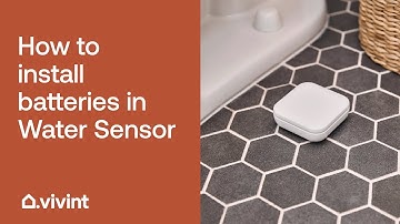 How to Install Batteries in Vivint Water Sensor | Vivint Tips & Tricks