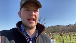 DEER MANAGEMENT EXPLAINED: TREES, DISEASE AND RTCS