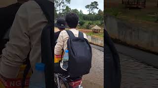 ចំការតែ គិរីរម្យ #short