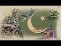 Pakistan armed forces 10