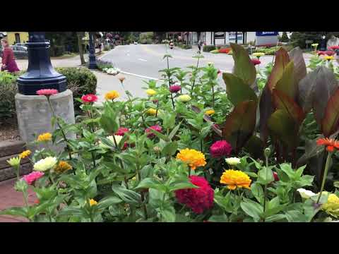 Frankenmuth Michigan ❤️ #germantown #michigan #travel #flowers #frankenmuth