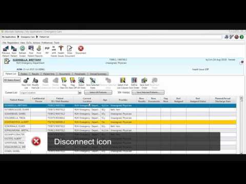 SCM Icons - Print Reports, PIP, eHealth Viewer and Disconnect Icon