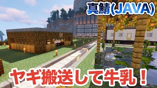 【マイクラ】拠点にヤギを搬送して牛乳を採れるようにする！（真鯖377）