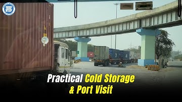 Practical Cold Storage and Port Visit | How to export Fruits and Vegetables ? | Exim Business