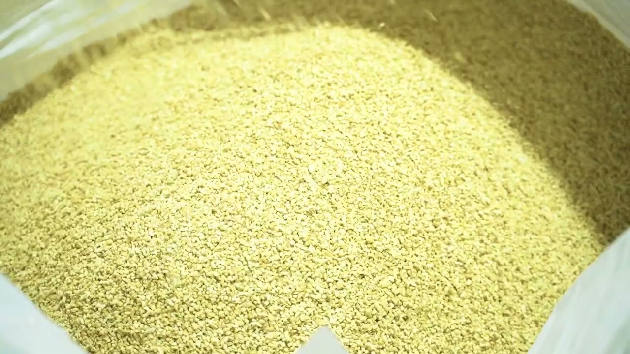 OFI Cashew Factory - Phi Long Media