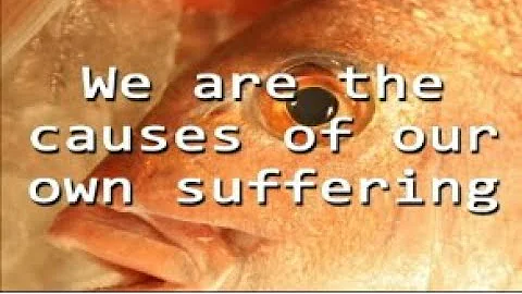 LOST - Brainwashing video