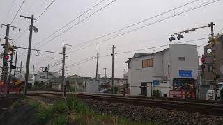 【JR阪和線】中ノ島北三踏切 特急くろしお(289系):新宮行 通過