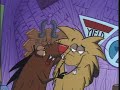 The angry beavers  the birds and the beavers