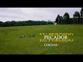 Eu Perdido Pecador | Cordas | 46 CC |