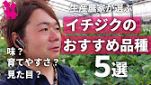 イチジク 生産農家が選ぶ本当にオススメな品種5選 おまけ Youtube イチジク 生産農家が選ぶ本当にオススメな品種5選 おまけ Youtube