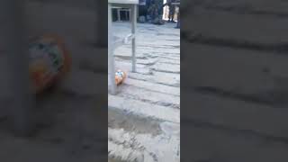 Şəhid Sabir Salahov 3 .Virtualaz