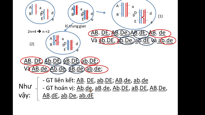 Bài tập xác định số loại giao tử tối đa năm 2024