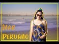 🐟 Datos que no conocías sobre el Mar Peruano🌊 | darwinianA 🌻