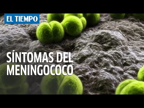 Video: ¿De dónde viene el meningococo?