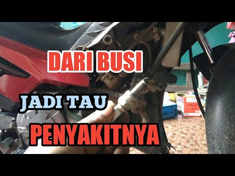 MANA SIH BUSI YANG TERBAIK MENURUTMU????. 