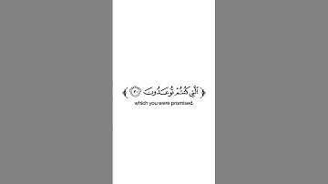 كروما شاشة بيضاء قرآن كريم 🌿تلاوة من سورة فصلت 🌿القارئ ناصر القطامي 🌿