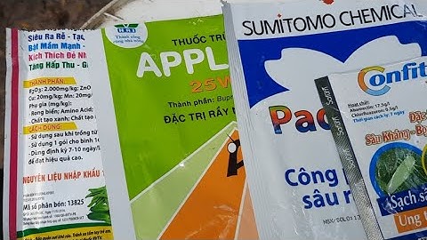 Chia sẽ các loại thuốc trị rầy xanh, làm ung trứng rầy và thuốc phục hồi cây trồng bị hư hại
