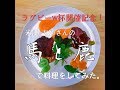 料理レシピ:米津玄師さんの【馬と鹿】で料理をしてみた。ラグビーワールドカップJapan2019、日本代表応援記念。