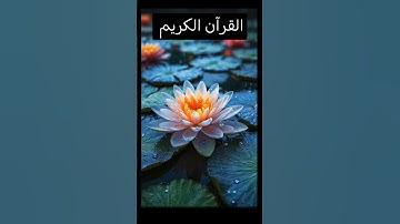 القرآن الكريم #القرآن_الكريم #قران_كريم #المصحف #تلاوة_خاشعة #راحة_نفسية #الرحمن #تلاوة_مؤثرة