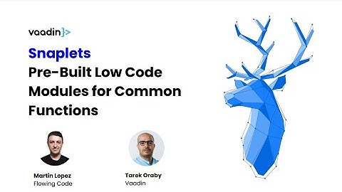 Webinar: Introducing Snaplets, pre-built low-code modules for common functions
