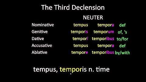Latin Third Declension Nouns