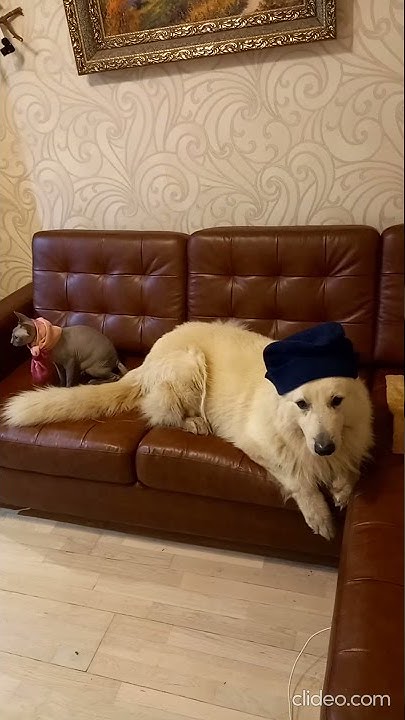 прибыла в Одессу банда - YouTube