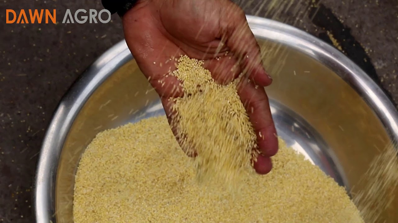 Rice Mill Machine for Millet Mill 6N40 Rice Mill Machine YouTube