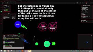 Gota io how to 2 piece line