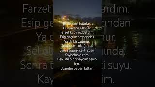 Beni Güzel Hatırla…Orhan Veli Resimi