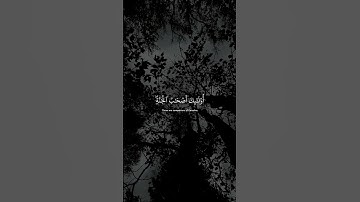 للذين أحسنوا الحسنى وزيادة | سورة يونس | القارئ⁦🎙️⁩ عبد الرحمن مسعد
