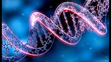 Unraveling the Wonders of Genetics (2 Minutes Microlearning)