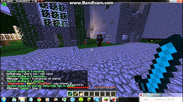 jimmybobjoe1 invisible hack on SavageRealms main