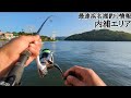 【浜名湖釣り】🎣最強弁天蛇虫でブッコミ釣り🐟