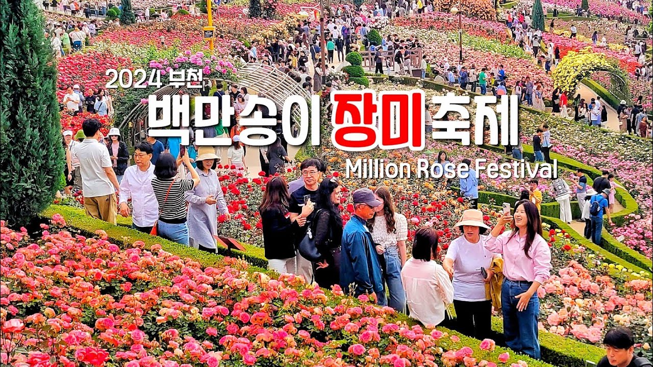 🌹2024 부천 백만송이장미축제 따뜻한 봄날 장미 향기에 취하다(feat.도담수목원) 서울근교 봄꽃축제 | Bucheon Million Rose Festival 4K