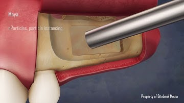 Dynamics Demo Reel 2017