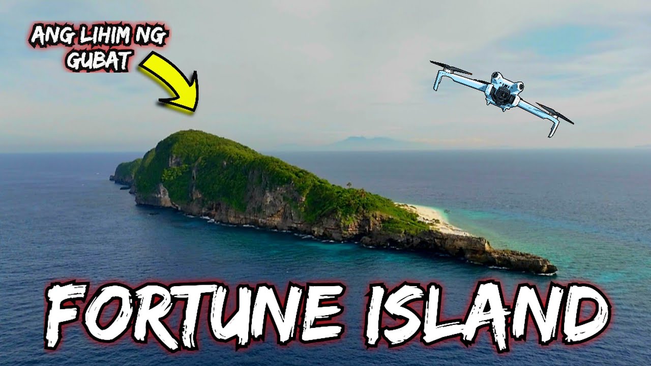 Pinasok ko ang gubat ng isla. Mga building sa gubat ng fortune island bakit mga durog. 