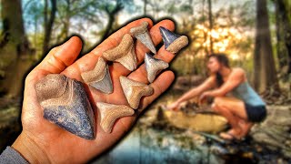 We Found LOADS of Shark Teeth and Whale Fossils in the FOREST!? (10,000,000 Year Old Ocean Floor)