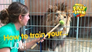 How to train your...lion!