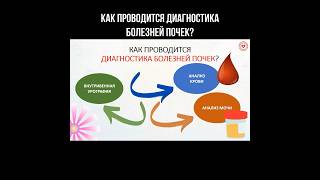 Как проводится диагностика болезней почек? #нефрология #почки #здоровьепочек #диагностика