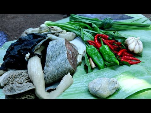 Wilderness Life : Primitive Cooking Cow's Tripe and Intestines For Lunch