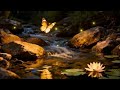 Soft Piano Peace with Calm Water Sounds for Gentle Peaceful Awareness #spiritualhealing