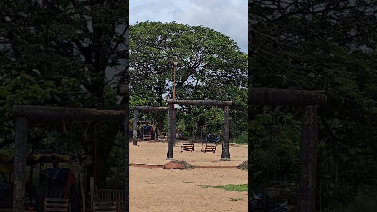 anantapur♥️ national park🥰🥳😎