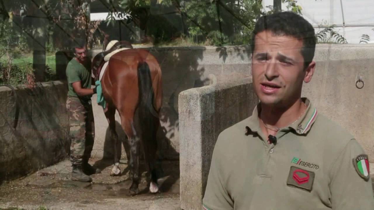 Centro Militare di Equitazione SHORT 2016