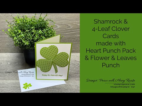 St Patrick's Day: The difference between a shamrock and a four-leaf clover