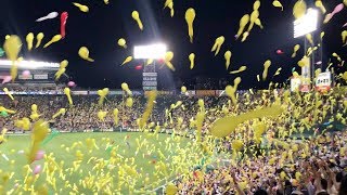 Nishinomiya, Japan - Hanshin Tigers 7Th Inning Stretch At Hanshin Koshien Stadium 2019